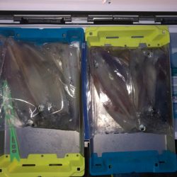 第二八坂丸 釣果