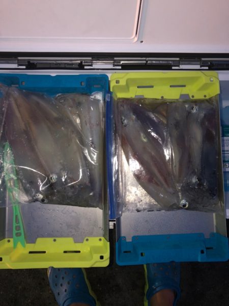 第二八坂丸 釣果