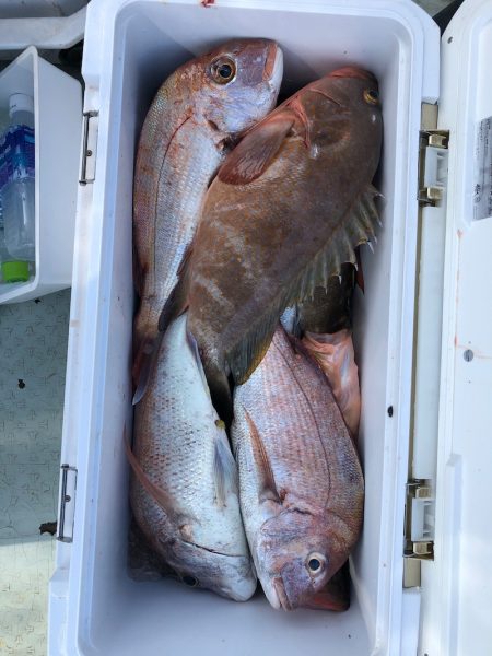 フィッシング キッタカ 釣果