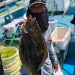丸万釣船 釣果
