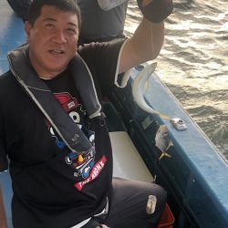 ヤザワ渡船 釣果