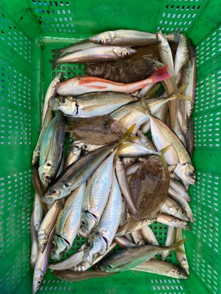 岡田釣船 八英丸 釣果