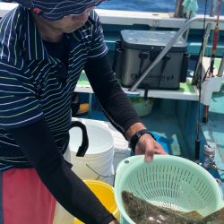 丸万釣船 釣果