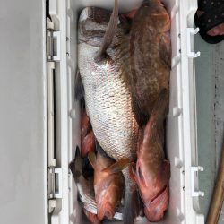 フィッシング　キッタカ 釣果