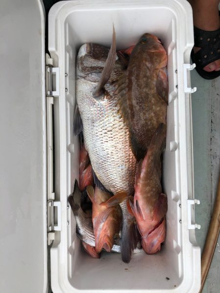 フィッシング　キッタカ 釣果