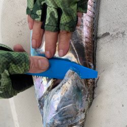 末広丸(熊本) 釣果