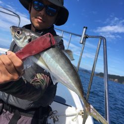 渡船屋たにぐち 釣果