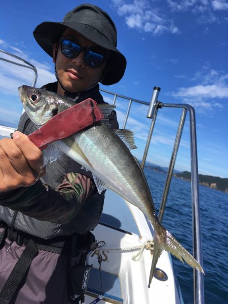 渡船屋たにぐち 釣果