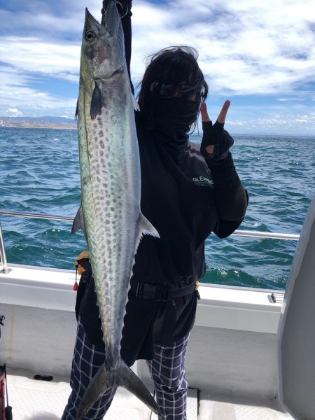 ビッグファイター 釣果