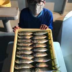 釣人家 釣果
