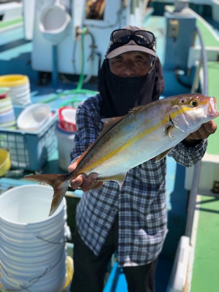 丸万釣船 釣果