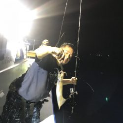 和丸(京都) 釣果