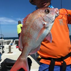 ランスルー 釣果