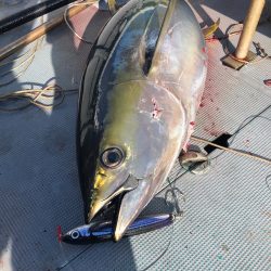 ＴＡＲＯＭＡＲＵ 釣果