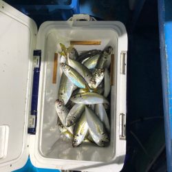 ヤザワ渡船 釣果