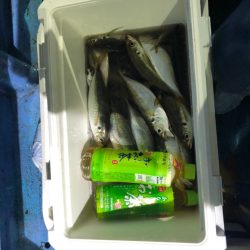 ヤザワ渡船 釣果