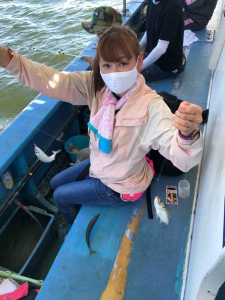 ヤザワ渡船 釣果