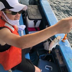 ヤザワ渡船 釣果