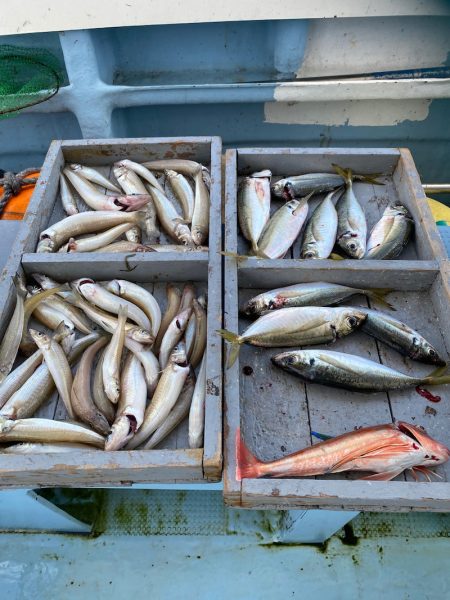 岡田釣船　八英丸 釣果