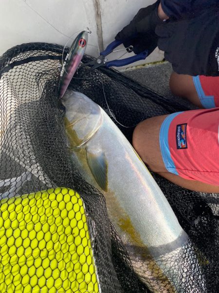 「LaGooN」蒼陽丸 日和号 釣果