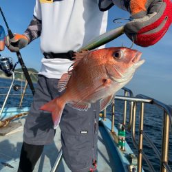 みやけ丸 釣果