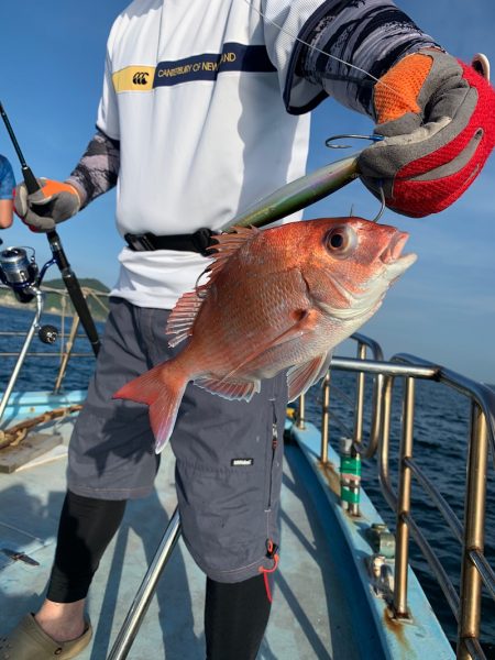 みやけ丸 釣果