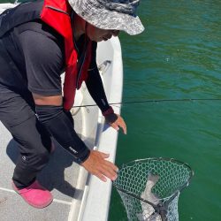 「LaGooN」蒼陽丸 日和号 釣果