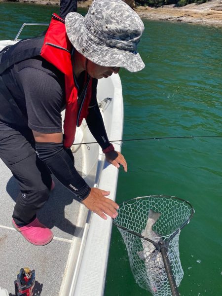 「LaGooN」蒼陽丸 日和号 釣果