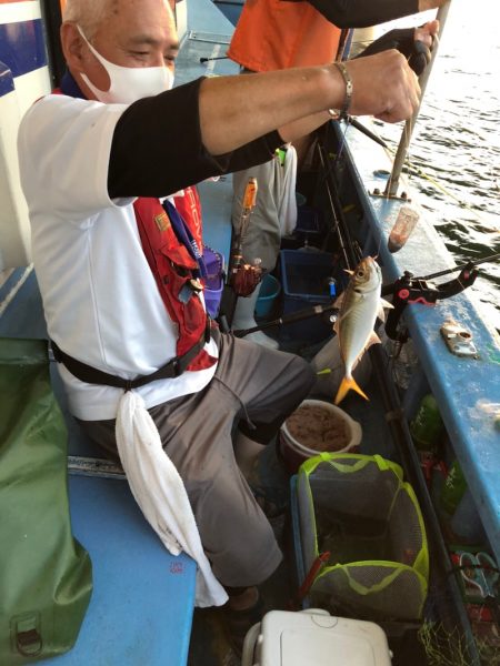 ヤザワ渡船 釣果