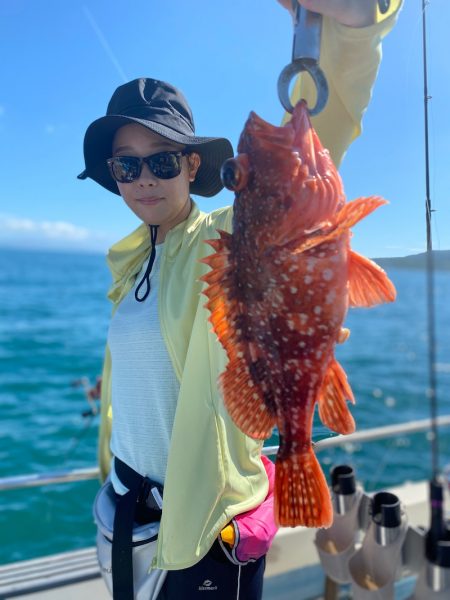 龍神丸(鹿児島) 釣果