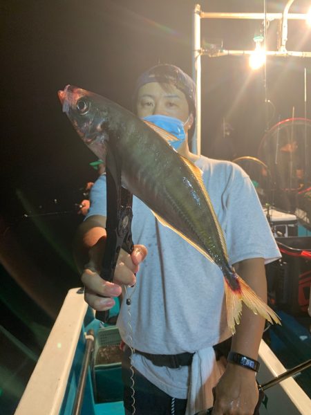 愛海丸 釣果