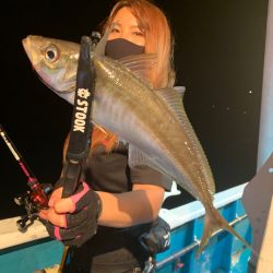 愛海丸 釣果