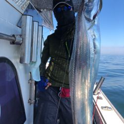 フィッシング キッタカ 釣果