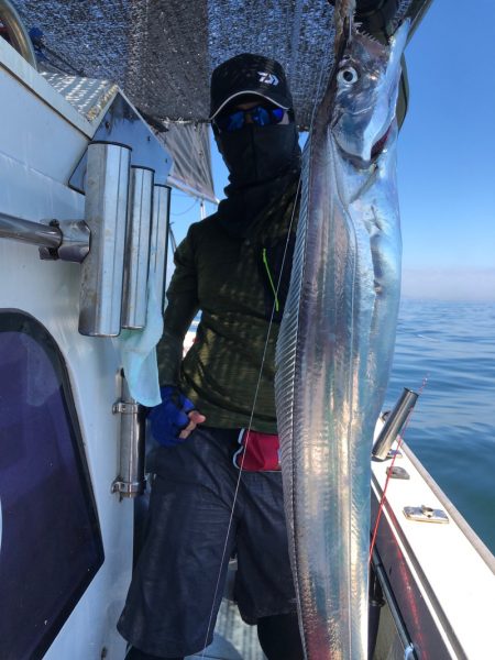 フィッシング キッタカ 釣果