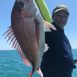 太平丸 釣果