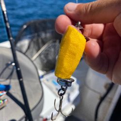 「LaGooN」蒼陽丸 日和号 釣果