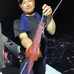 和丸(京都) 釣果