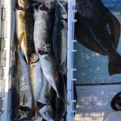 フィッシング　キッタカ 釣果