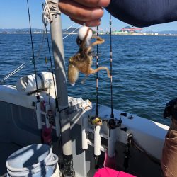 遊漁船高橋 釣果