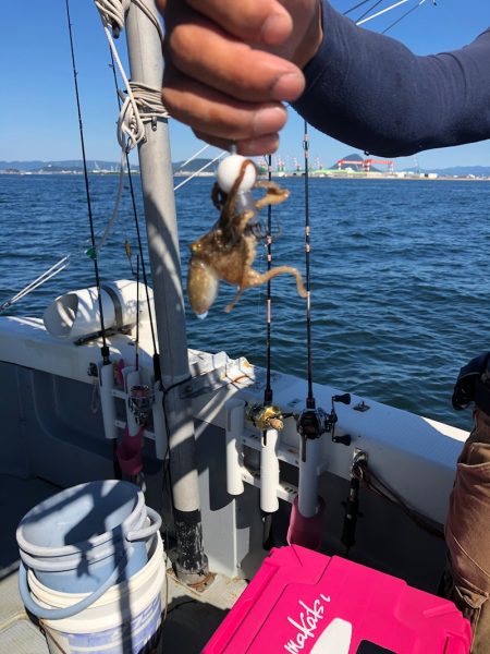 遊漁船高橋 釣果