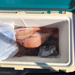 遊漁船高橋 釣果