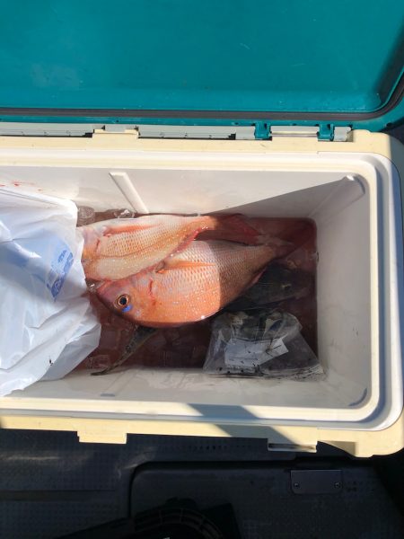 遊漁船高橋 釣果