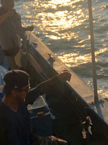 ヤザワ渡船 釣果