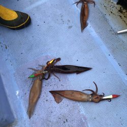 第二 つれたか丸 釣果