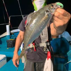 愛海丸 釣果