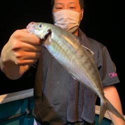 愛海丸 釣果