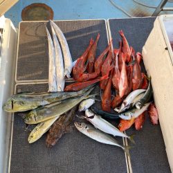 Monster Rush! 釣果