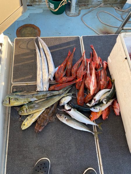 Monster Rush! 釣果