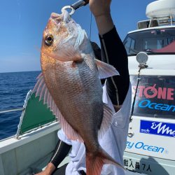さくら丸 釣果