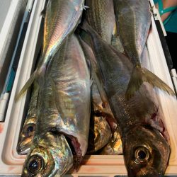 愛海丸 釣果